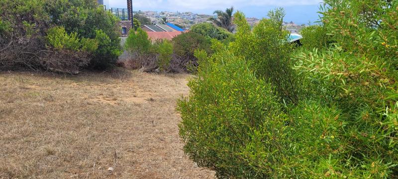 0 Bedroom Property for Sale in Dana Bay Western Cape